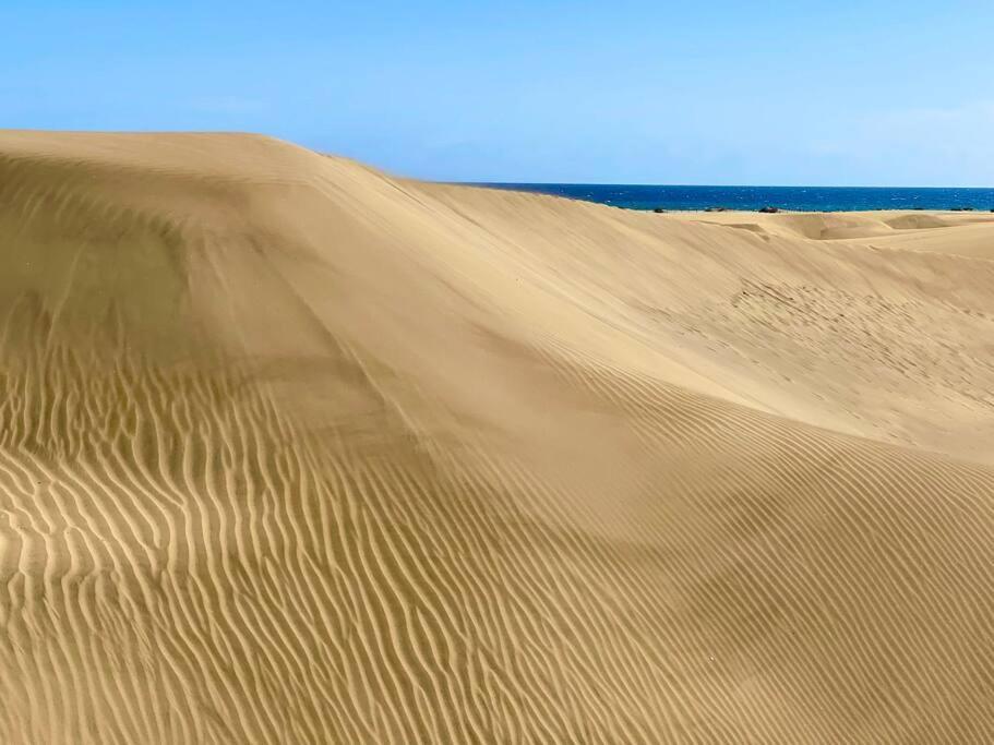 Tamaran 102 - Los Campos - Lux Garden Apt Near Dunes, Quiet-Central-Renovated San Bartolomé エクステリア 写真
