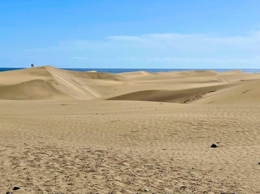 Tamaran 102 - Los Campos - Lux Garden Apt Near Dunes, Quiet-Central-Renovated San Bartolomé エクステリア 写真