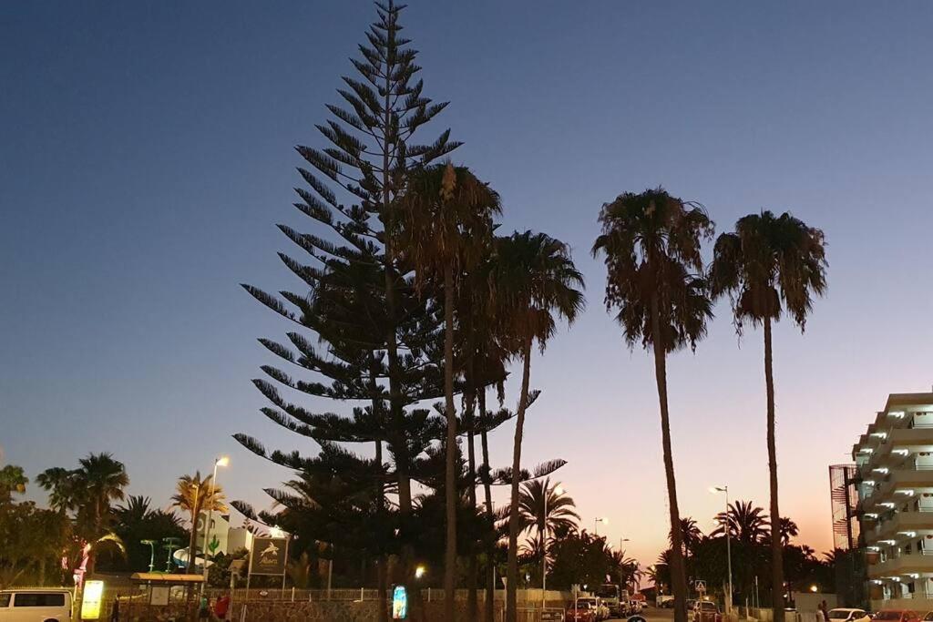 Tamaran 102 - Los Campos - Lux Garden Apt Near Dunes, Quiet-Central-Renovated San Bartolomé エクステリア 写真